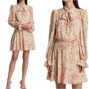 Monique Lhuillier Printed Floral Chiffon Mini Dress Enchanted Garden
